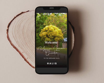 Local Guide Real Estate | Digital Realtor Relocation Guide | Real Estate Agent Community Guide, City Guide, Editable Canva Template RE1